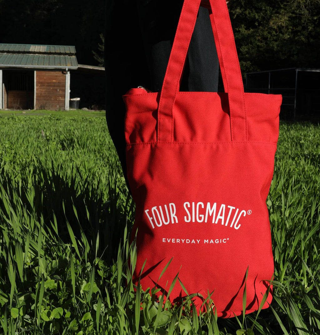 Tote\/ Backpack
