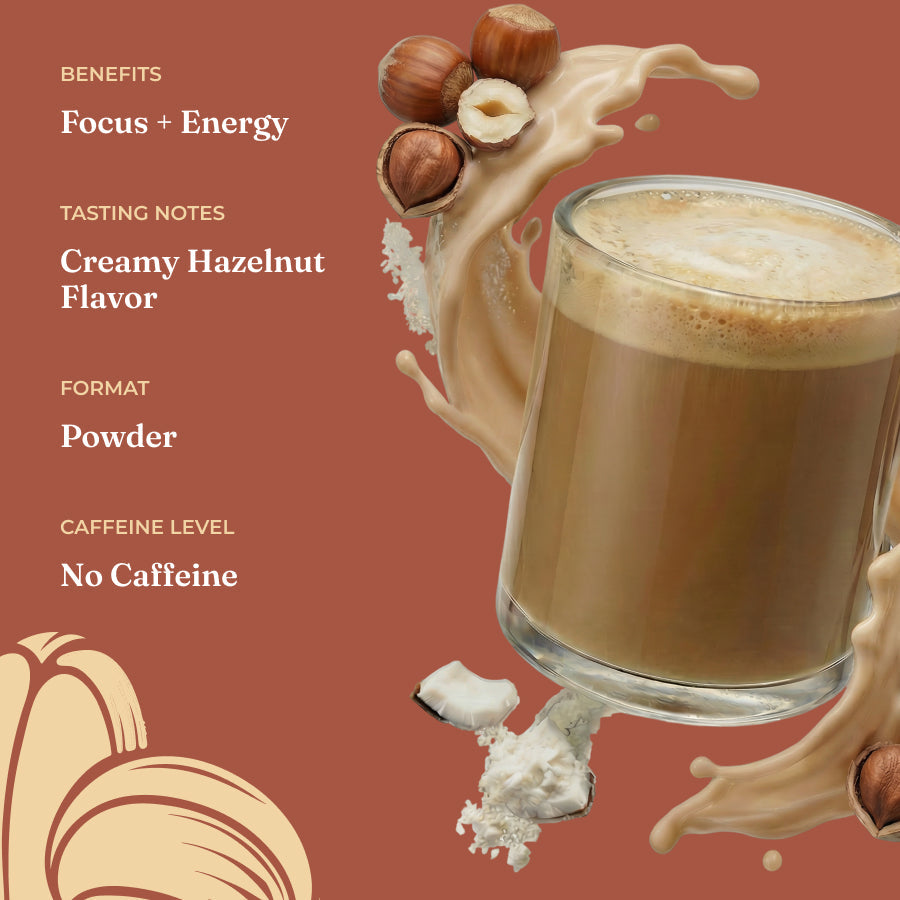 Focus Creamer – Hazelnut